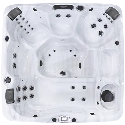 Avalon-X EC-840LX hot tubs for sale in Edinburg