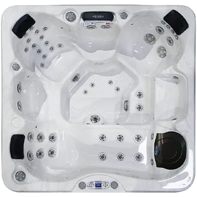 Avalon EC-849L hot tubs for sale in Edinburg