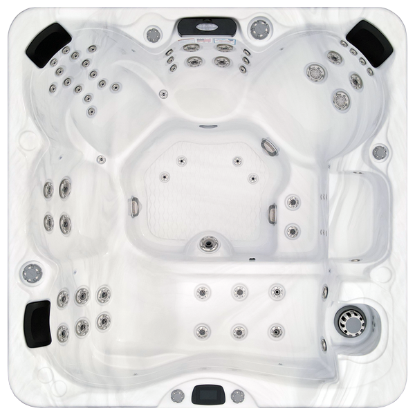 Avalon-X EC-867LX hot tubs for sale in Edinburg